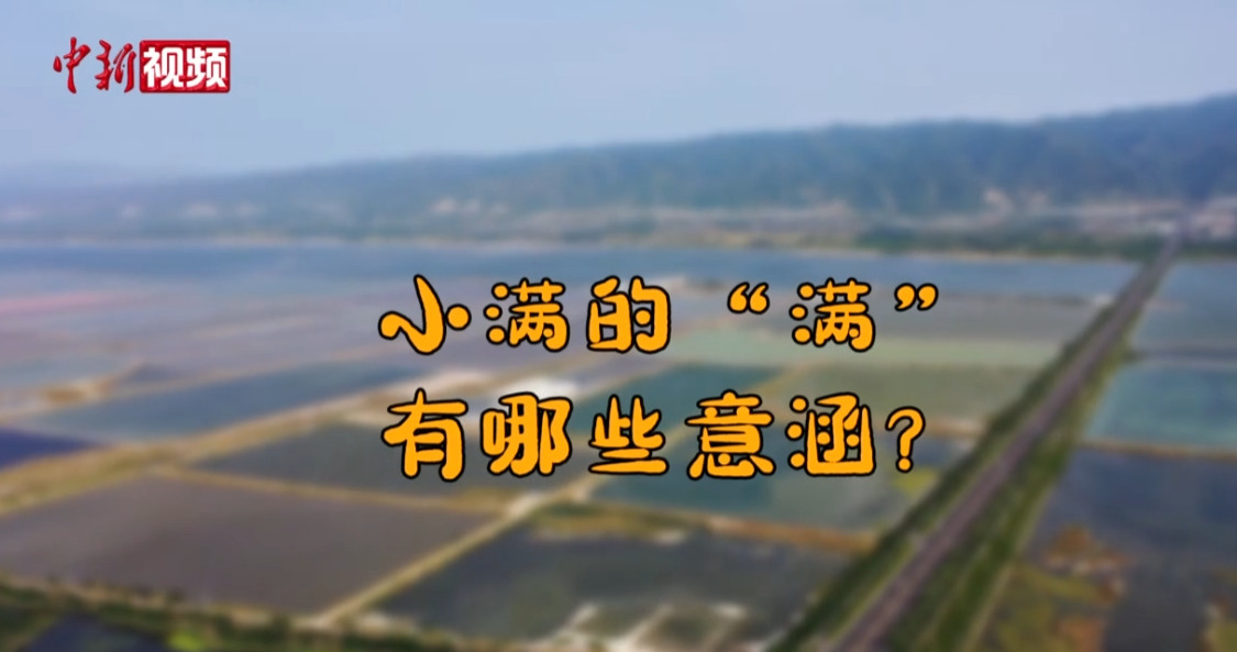 1747815440007.png