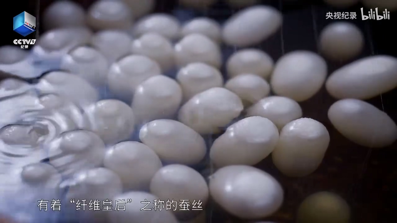 為何蠶絲制作的五星紅旗能登上月球？.mp4_20250529_151703.054.jpg