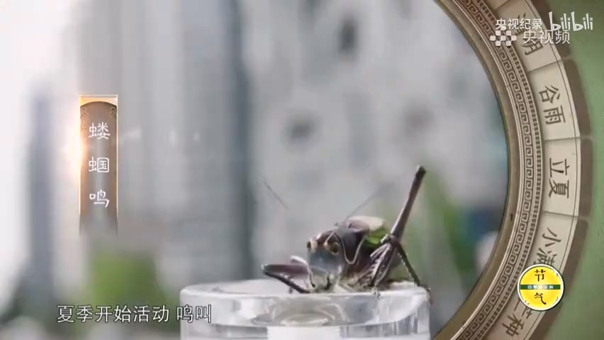 為何古人認(rèn)為立夏三候與陰陽轉(zhuǎn)換有關(guān)？.mp4_20250529_151747.653.jpg